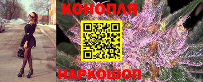 jwh Моздок