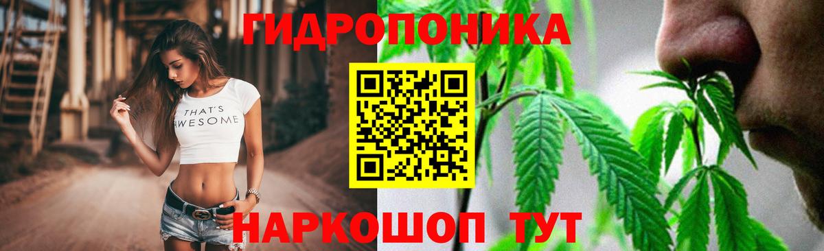 Каннабис планчик Усть-Джегута